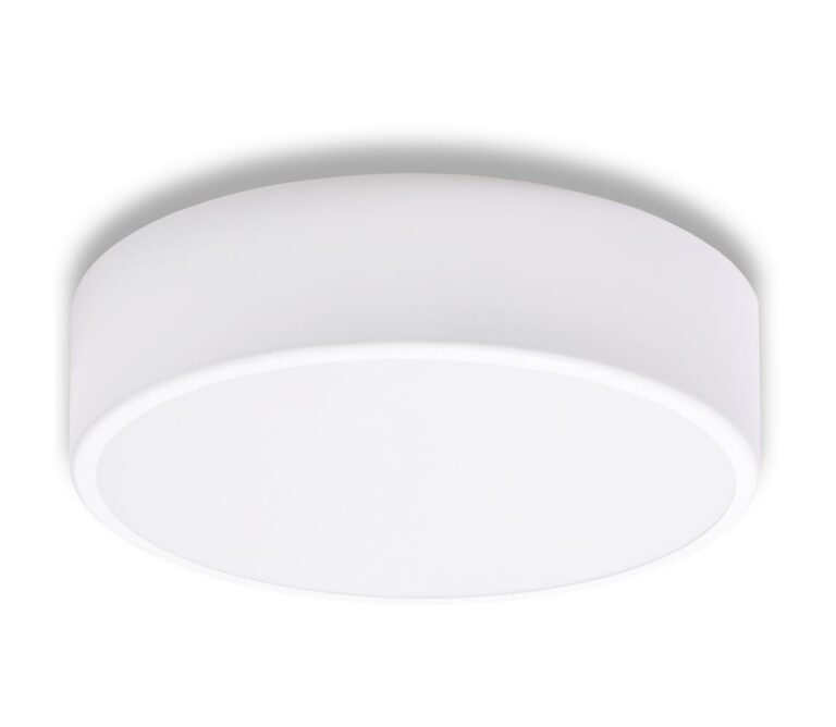 Koupelnové stropní svítidlo se senzorem CLEO 2xE27/48W/230V pr. 30 cm bílá IP54
